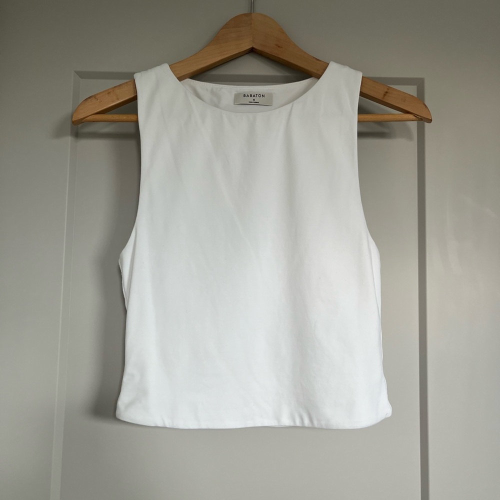 Aritzia Babaton Top
